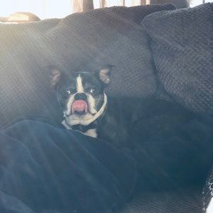 Meet your Posher, Amber